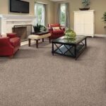 Enhance Your Home with Wall-to-Wall Carpets
