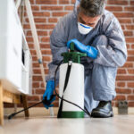 How to find the best pest control company in St. George?