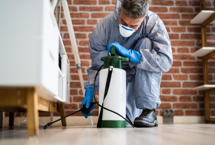 How to find the best pest control company in St. George?