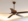 Designer ceiling fans