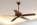 Designer ceiling fans