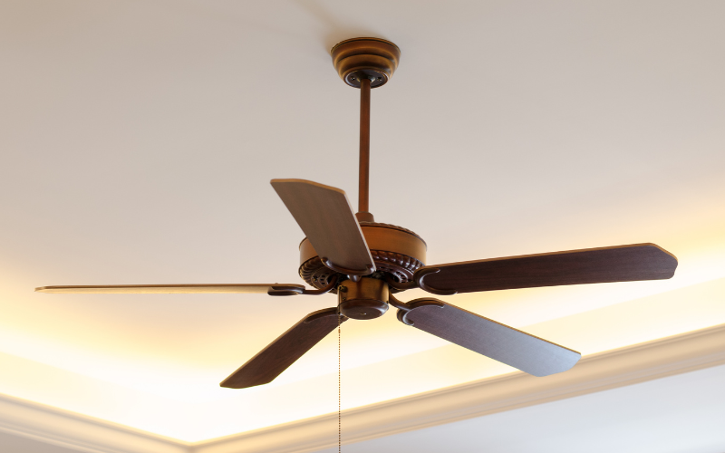 Designer ceiling fans