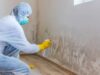 Mold Inspection and Remediation