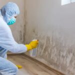 Mold Inspection and Remediation