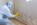 Mold Inspection and Remediation