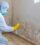Mold Inspection and Remediation