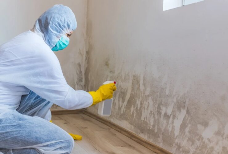 Mold Inspection and Remediation